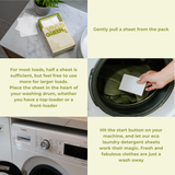Laundry Detergent Sheets-Fresh Forest Fragrance– 120 Washes